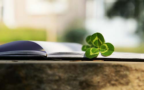 本科藥學(xué)成人高考科目有哪些？