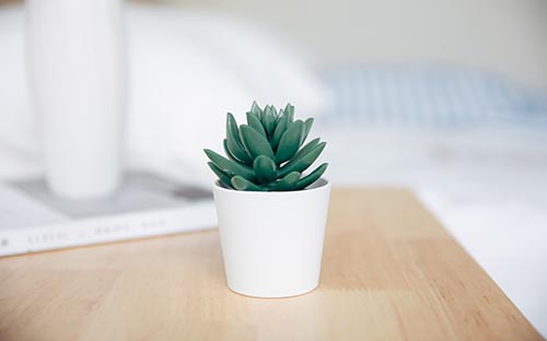 自學(xué)考試專業(yè)的考試科目設(shè)置分為什么？