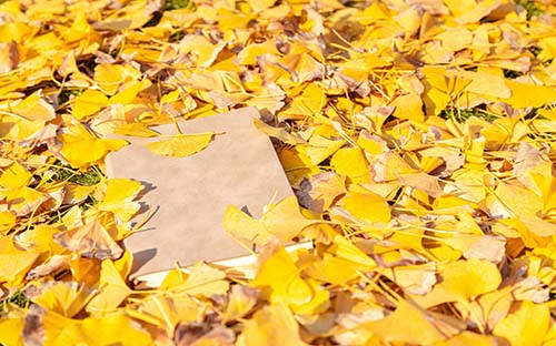 成人高考怎么選擇院校？