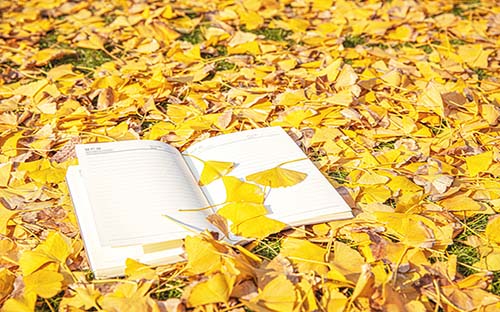 自考完成后有什么好處？