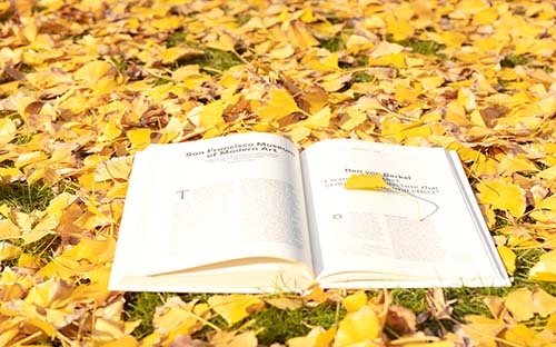 成人高考語(yǔ)文的考點(diǎn)？