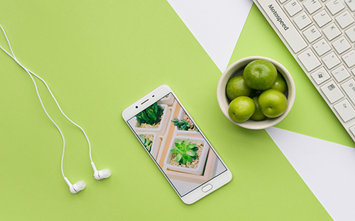 成人高考和自考的題目出的一樣么？