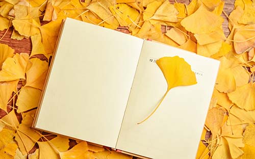 自考本科人力資源管理需要考哪些科目？