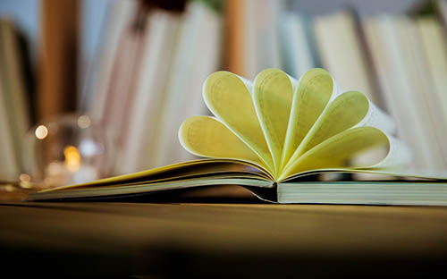 法律專業(yè)自考難度大嗎？