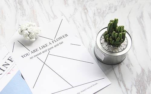 成人高考護(hù)理專(zhuān)升本考試科目有哪些？