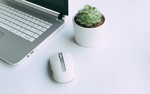 成人高考的學(xué)歷可以考教資嗎？