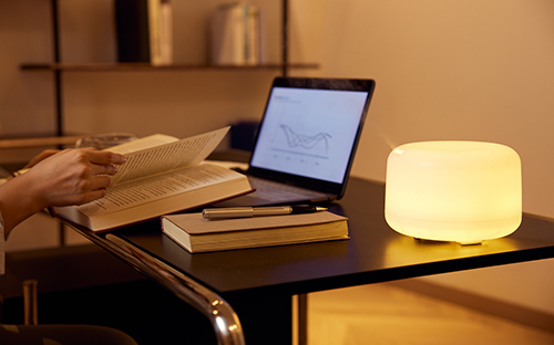 為什么查成人高考成績查不到？