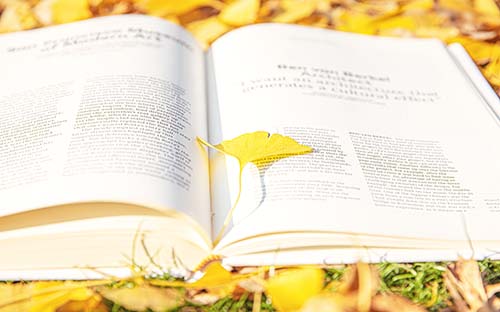 自考英語專業(yè)必須寫畢業(yè)論文嗎？