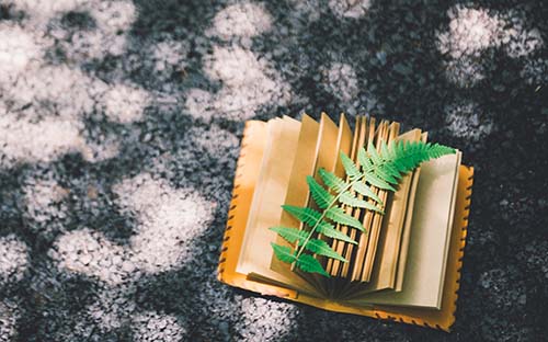 安徽成人高考本科考研難嗎？