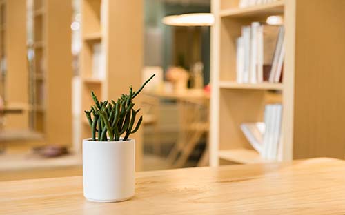 成人高考院校審核是什么意思？