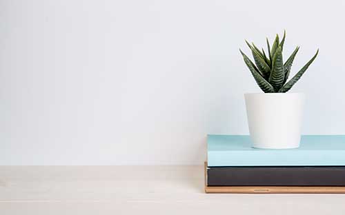 上海成人高考的通過率是多少？