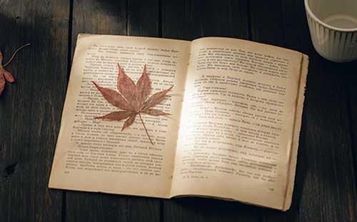 湖北成人高考成績怎么查詢？