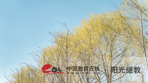 成人高考不是全日制學(xué)歷有用嗎？有哪些用處？