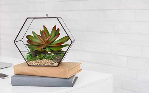 佛山成人高考外地能報(bào)名嗎？報(bào)名需要準(zhǔn)備什么？