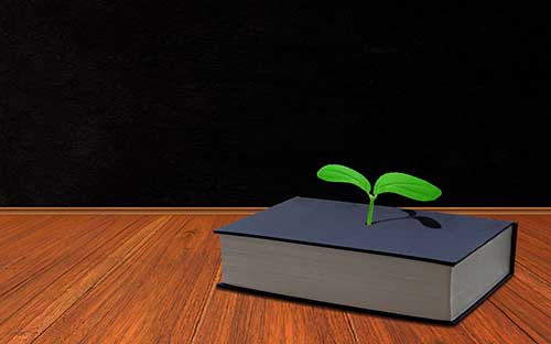 浙江杭州濱江區(qū)成人高考報(bào)名時(shí)間是多久？怎么報(bào)名？