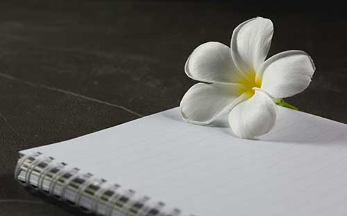 瀘州成人高考報(bào)名在哪里？要考哪些科目呀？