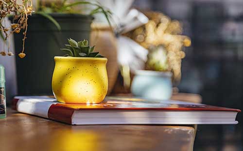 澳大利亞景觀設計專業(yè)留學條件
