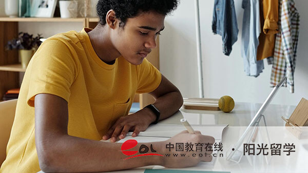 AP考試費用價格是多少，應該如何備考