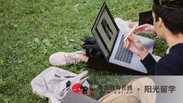 電子科技大學中外合作國際本科3+1專業(yè)有哪些
