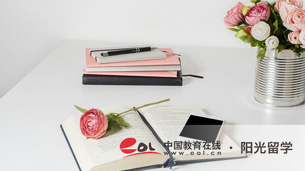 南京藝術學院2+2中外合作國際本科費用多少一年