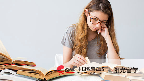 法國(guó)數(shù)據(jù)藝術(shù)專業(yè)研究生留學(xué)條件有哪些