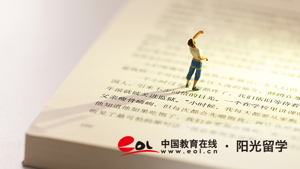 韓國藝術(shù)史與理論專業(yè)研究生留學(xué)有哪些申請條件