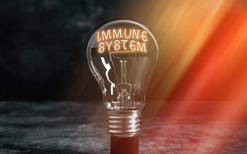 成都郫都區(qū)自考報名中心在哪？線上怎么報名？