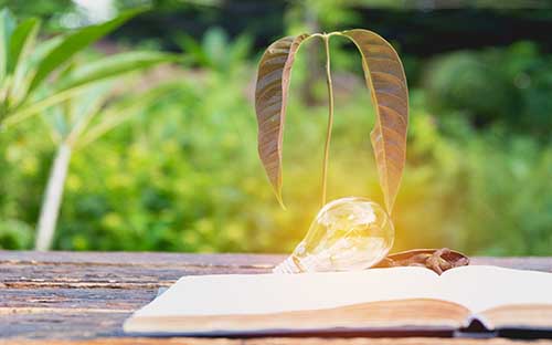 英語(yǔ)專業(yè)自考本科報(bào)名要求是什么？考哪些科目？