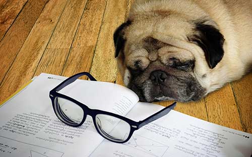 黑龍江自考本科怎么報(bào)名？考哪些科目？