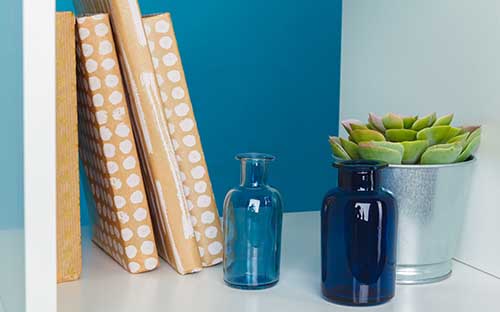 自考有獸醫(yī)專業(yè)嗎？報(bào)名后該怎么學(xué)習(xí)？